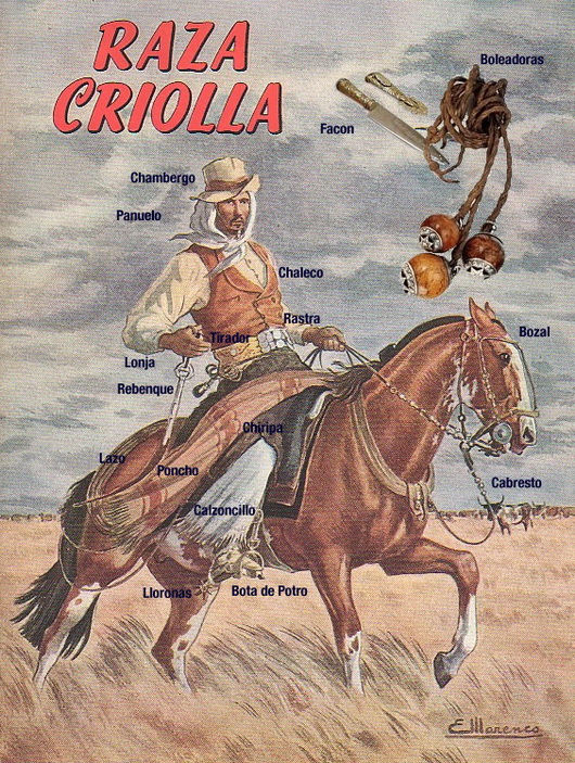 gaucho